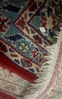 کاپوت پراید