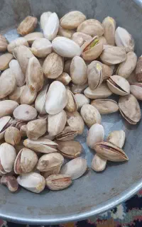 سلام بهترین بزر پسته زرندی