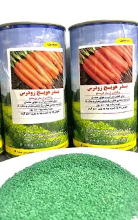 بذر هویج زود رس