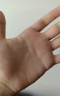 طالع بینی آینده با اثبات