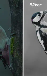 انجام تمامی خدمات کامپیوتری و فتوشاپ