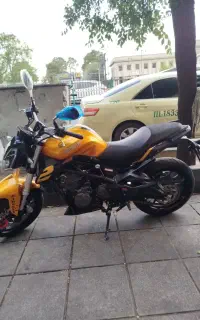 بنلی 300تمیز