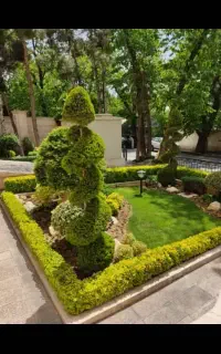 باغبانی باغچه کاری گل کاری.هرس کاری.گل وگیاه.هروی