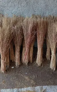 جارو فراشی عمده