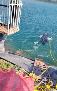 انجام عملیات غواصی صنعتی