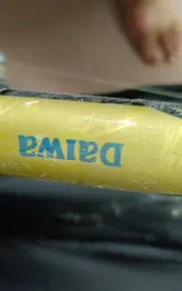 لنسر انتظاری