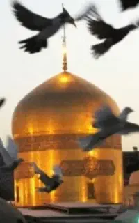 تور ریلی مشهد با خدمات کامل و یه وعده غذای حرم