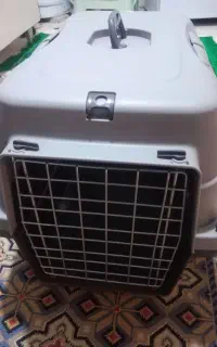 باکس سگ و گربه