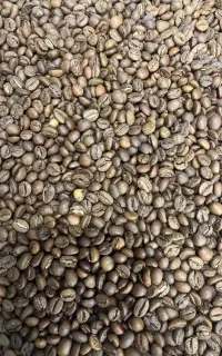 نیازمند به باریستا