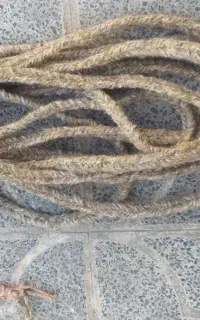 طناب (چله)