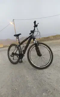 موتور حرفه ای