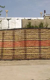 چیت