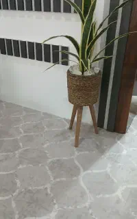پالاز موکت