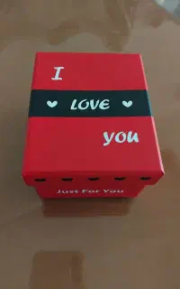 پیدا شده
