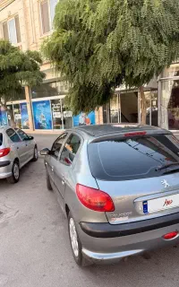 ۲۰۶ تیپ دو خاکستری درحد