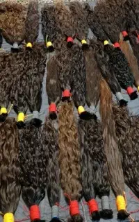خرید موی طبیعی با بالاترین قیمت در سراسر مازندران