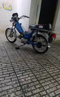 موتود