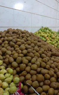 نیروی کار