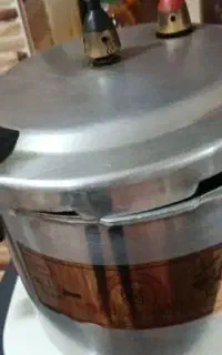زودپزپروانه ای بزرگ