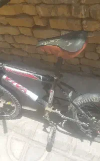 دوچرخه ۱۶ تنه ویوا وبدون هیچ زربعی