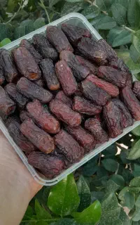 خرمای پیاروم درجه یک حاجی آبادبندر برداشت آبان 405