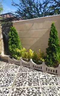 باغبانی تخصصی فضای سبز ویلا و باغ عروس