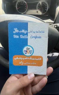 واگذاری سگ مالینویز ۸ ماهه