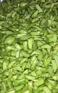 باقالی پاک شده سبز وبا کیفیت