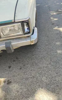 پیکان