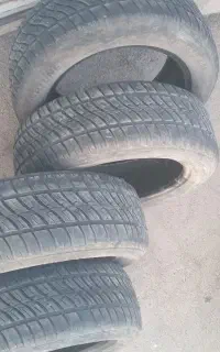 ۴حلقه لاستیک۲۰۵/۵۵/۱۶