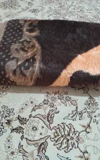 فروش پتو نو فقط ۱،۶۰۰