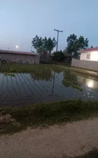 فروش 226 متر زمین مسکونی در طولارود