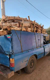 هرس کاری و خرید چوب