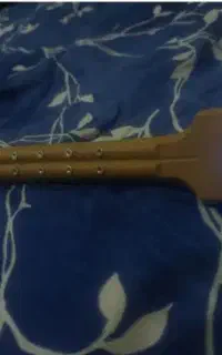 نی انبان الکترونیک