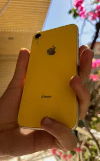 Xrایکس‌آر‌