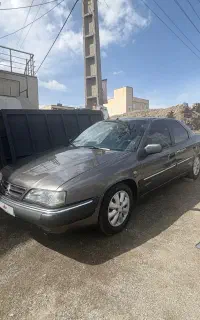 زانتیا۲۰۰۰