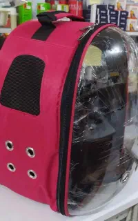 کیف حمل پرنده