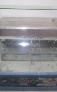 ویترین یا دخل سوپر مارکت