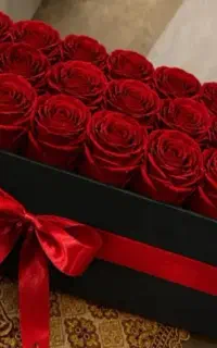 همیشه سراغ بهترین برو