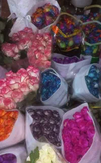 قبول انواع سفارشات