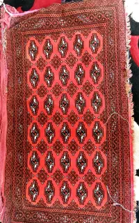 دو  عدد پادری