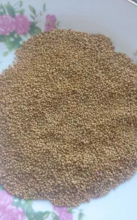 بذریونجه غرق آبی