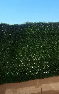 فنس چمنی
