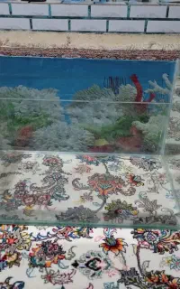 آکواریوم