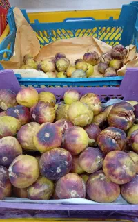 انجیر تازه از بر چیده شده و میوه تازه