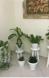 تعدادی وسایل منزل به علت جابه جایی بفروش می‌رسد