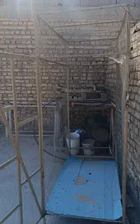 قفس کبوتر