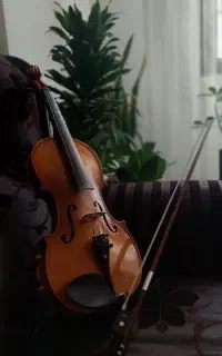 آموزش خصوصی ویلون