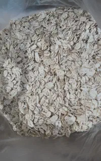 جو پرک