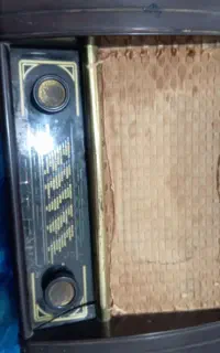 ضبط